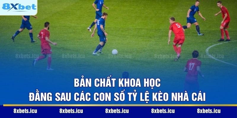 Bản chất khoa học đằng sau các con số tỷ lệ kèo nhà cái
