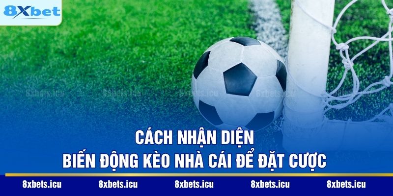 Cách nhận diện biến động kèo nhà cái để đặt cược