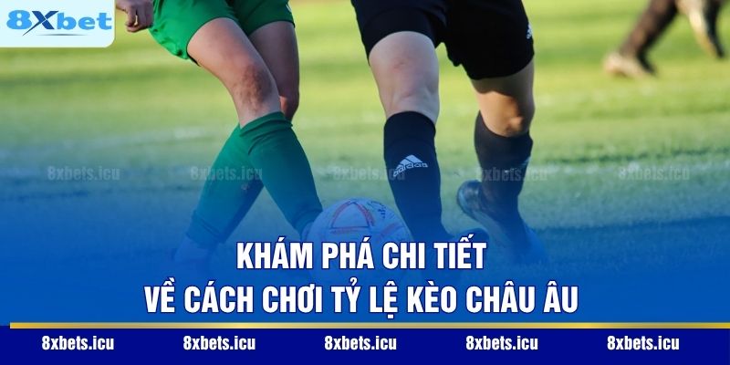 Khám phá chi tiết về cách chơi tỷ lệ kèo Châu Âu