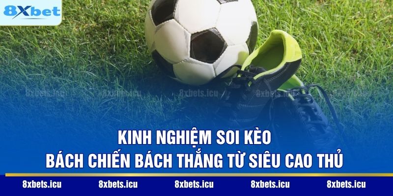 Kinh nghiệm soi kèo bách chiến bách thắng từ siêu cao thủ
